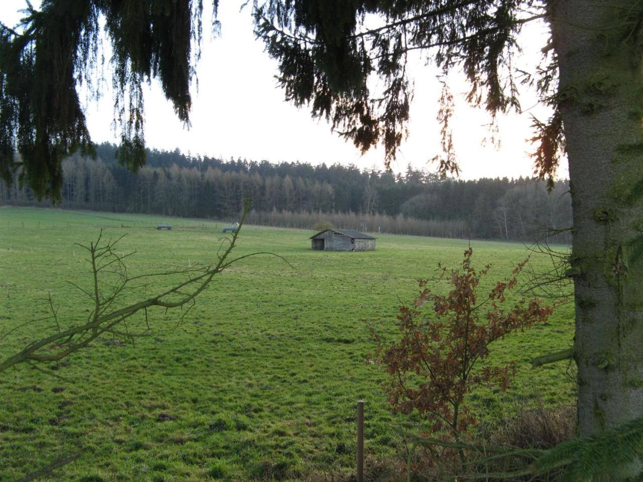 Ferienwohnung Prior Bad Emstal 外观 照片